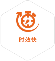 梨林镇到法国物流公司